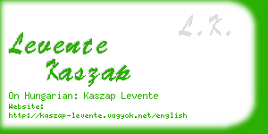 levente kaszap business card